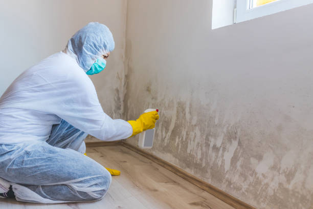 Licensed Mold Cleanup service in Columbus, NC - WQB Mold Removal