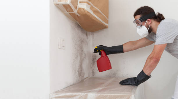 Professional Mold Cleanup technician working in Columbus, NC