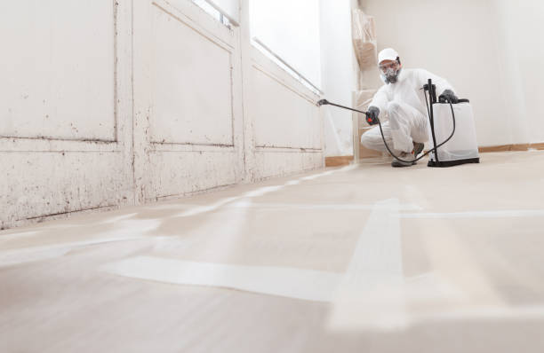 24/7 Emergency Mold Cleanup experts in Columbus, NC