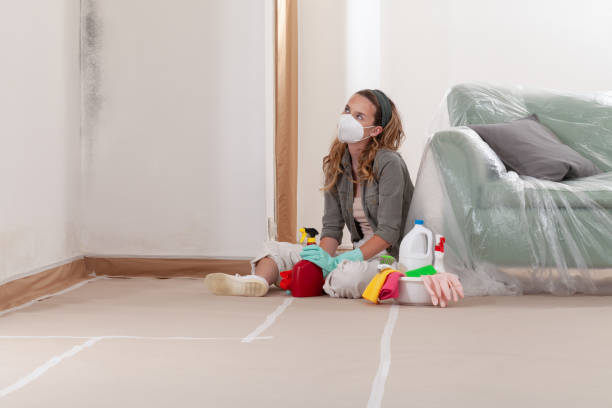 Reliable Mold Cleanup contractor in Columbus, NC by WQB Mold Removal